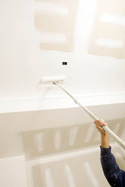 Best Black Mold Removal  in West Liberty, WV